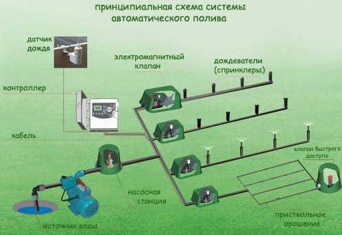 Удобство использования автополива
