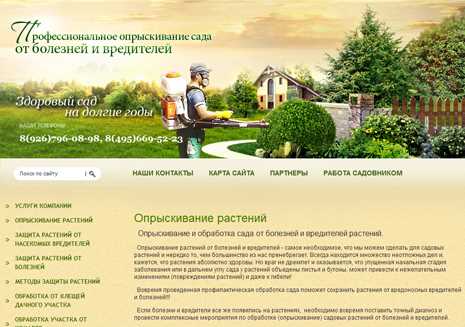 2. Сорт