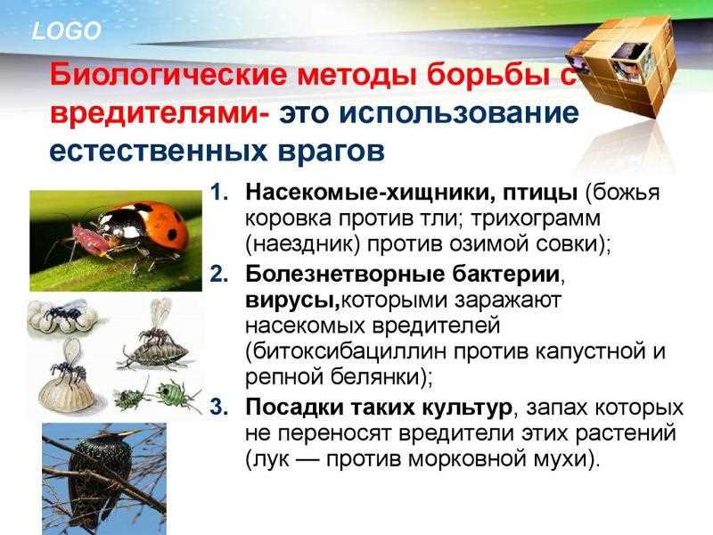 1. Компост