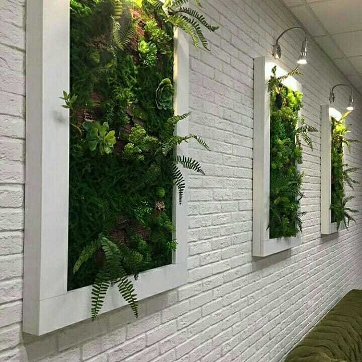 Преимущества фитостены