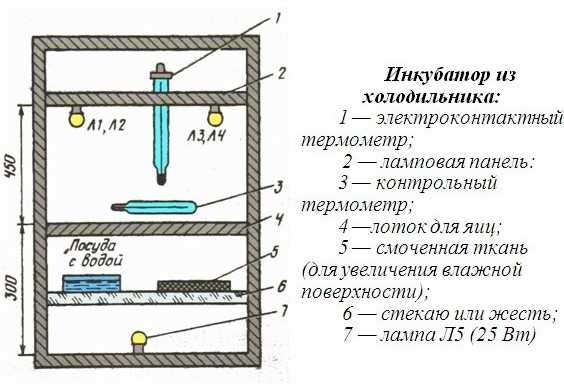 Освещение в инкубаторе