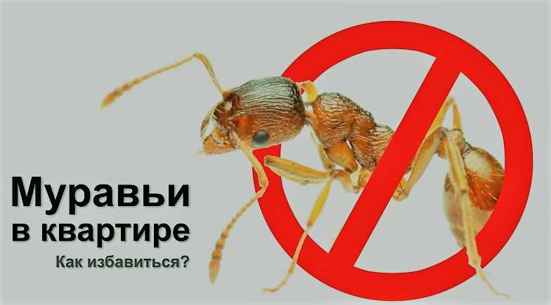 2. Эфирные масла
