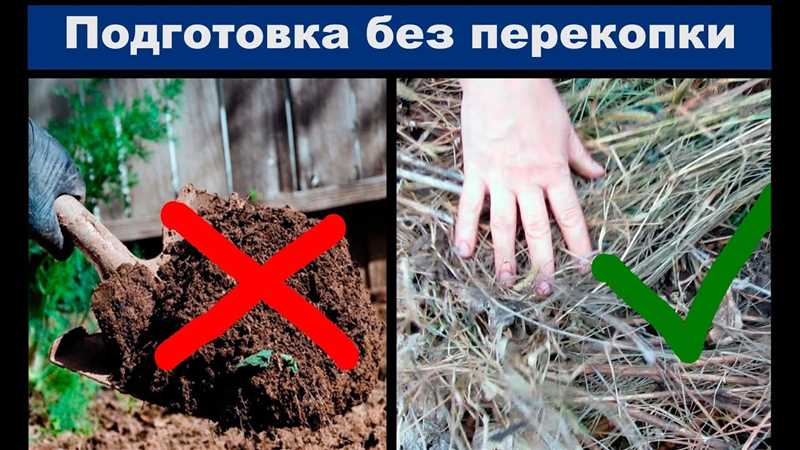 Удобрение