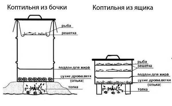 3. Вкусовые предпочтения