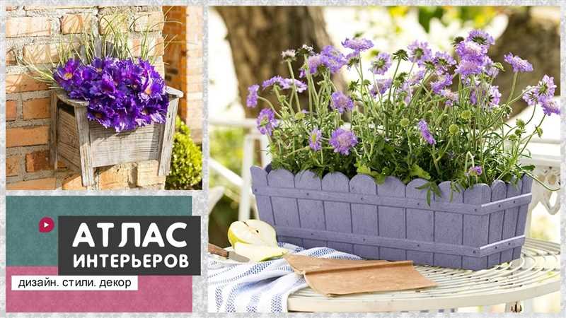 Проведение дренажной системы