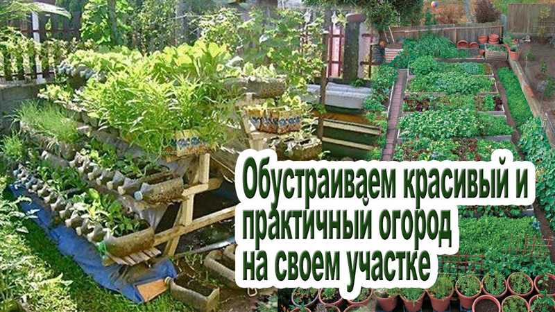 Ключевые принципы красивого дизайна огорода