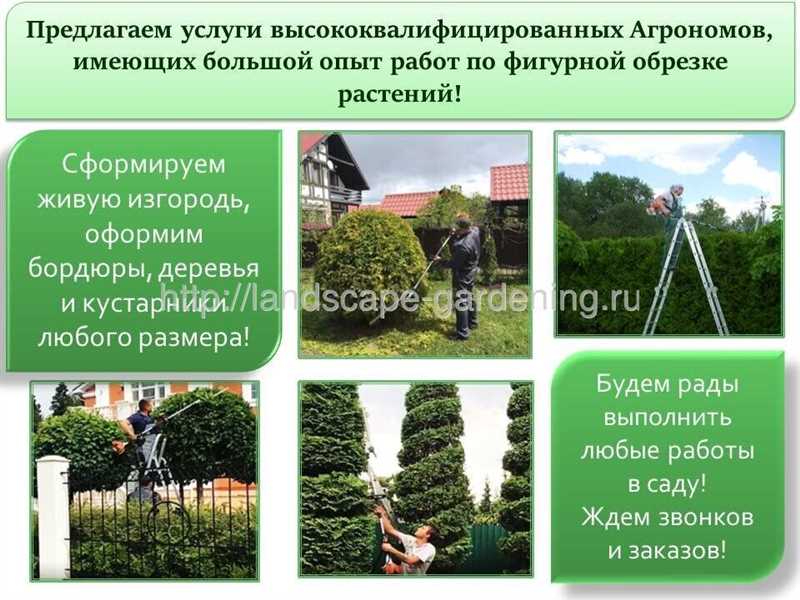 Как распознать вредителей: