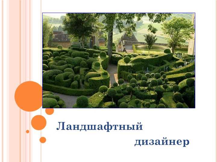Элементы ландшафтного дизайна
