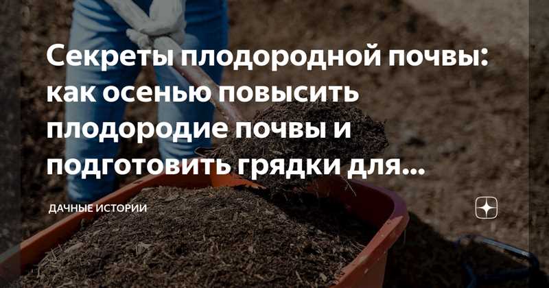 Химическое и биологическое взаимодействие мульчирования и компостирования
