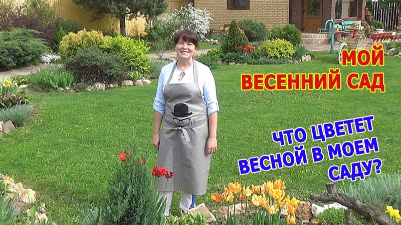 Химическая борьба