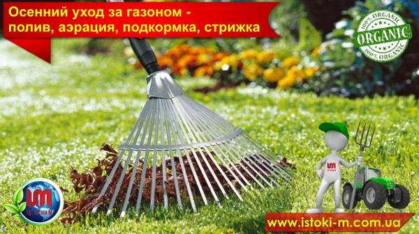 Правила полива газона: