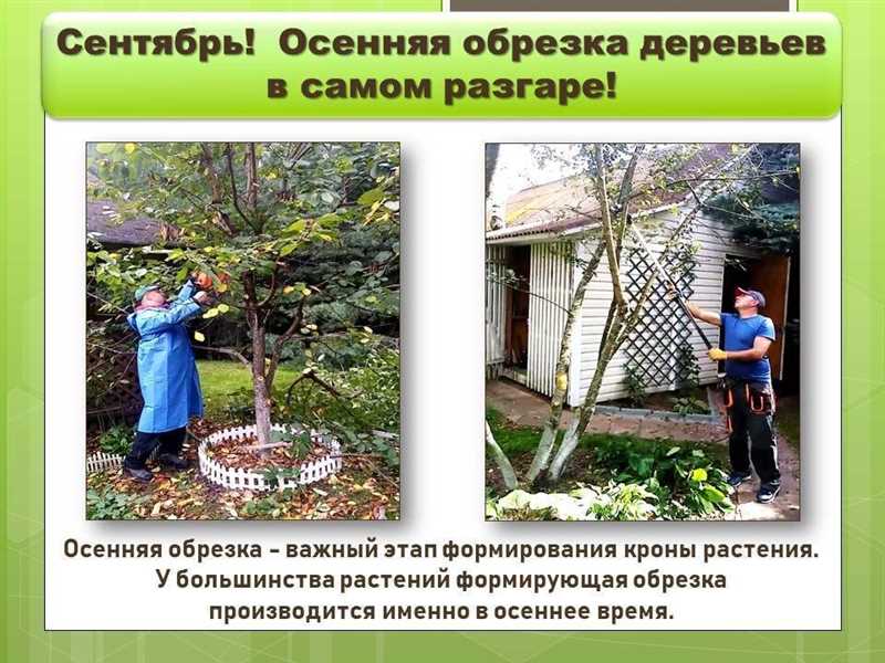 Защита от морозов и ветров