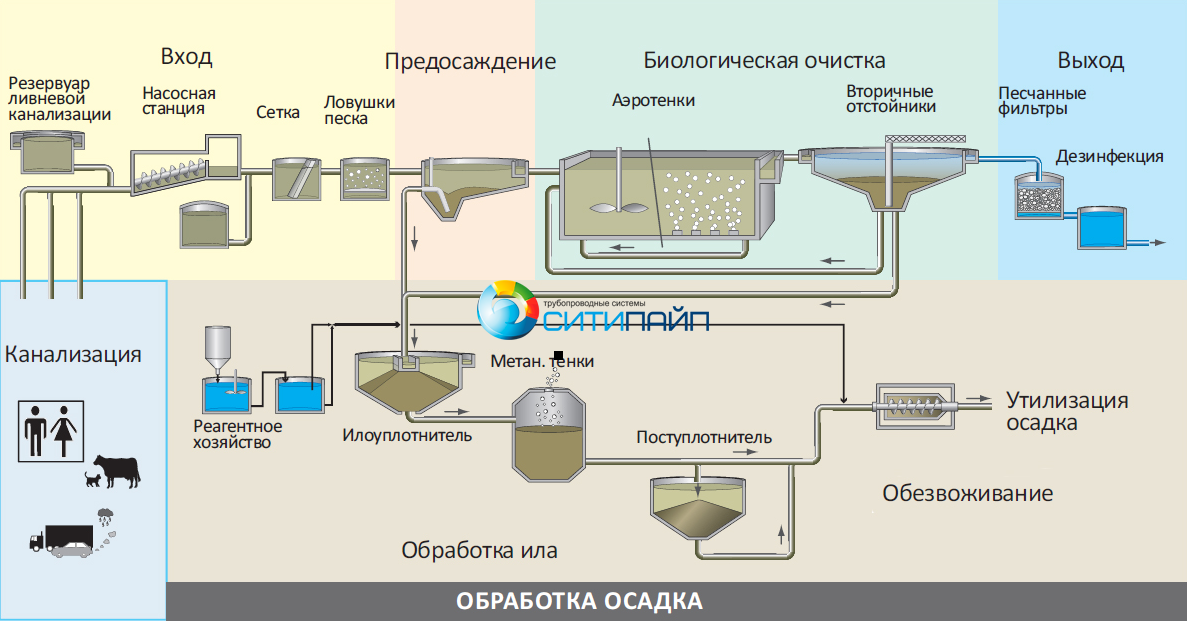 2. Биомасса: