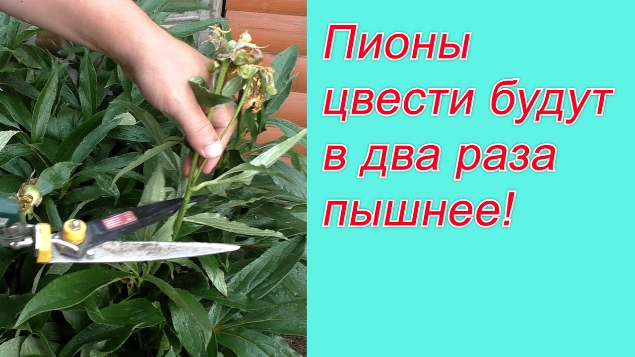 Украшение предметов интерьера