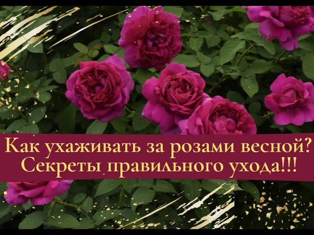Удобрение