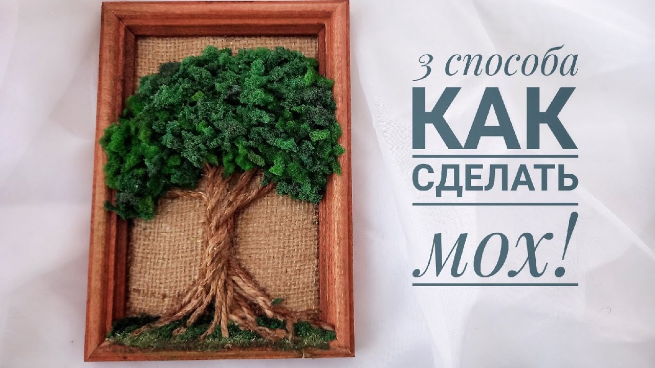 Мхи и лишайники