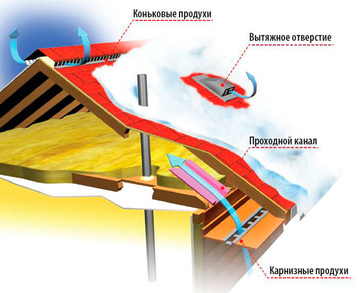 Риск образования плесени и грибка