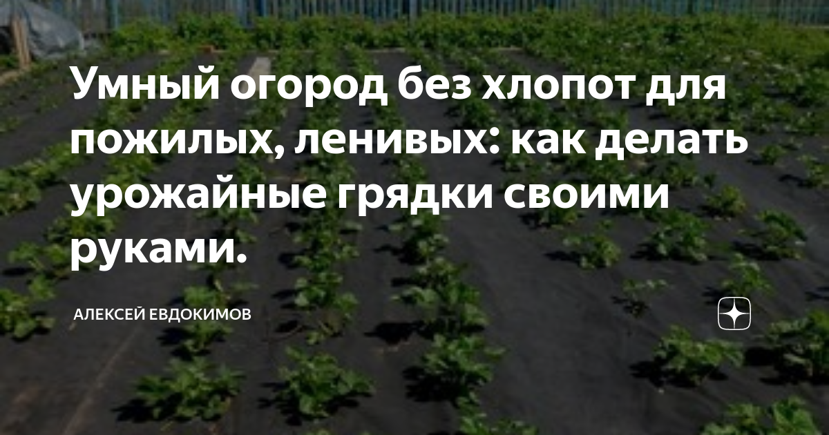Система полива и правильный уход за грядками