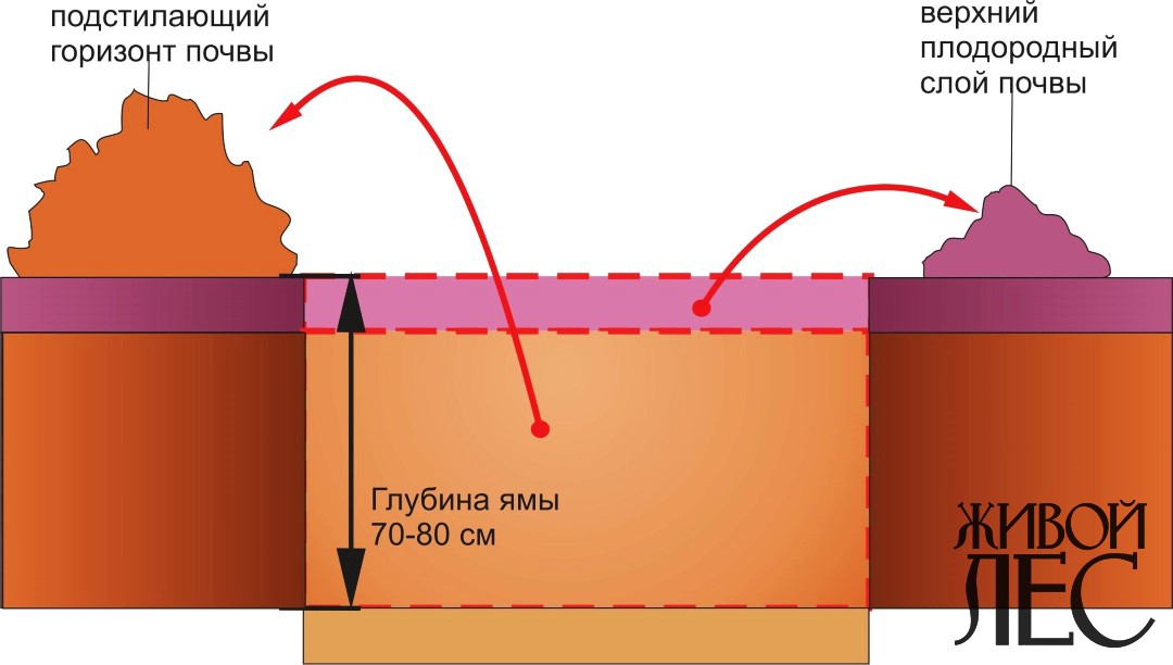 Анализ грунта