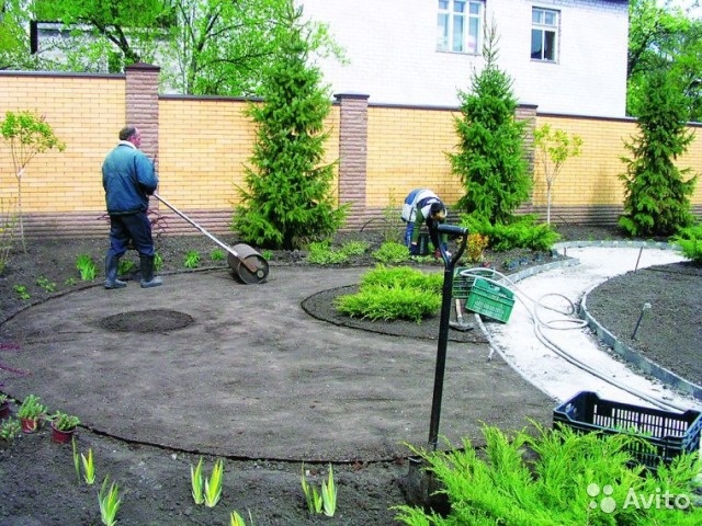 Выбор семян для газона