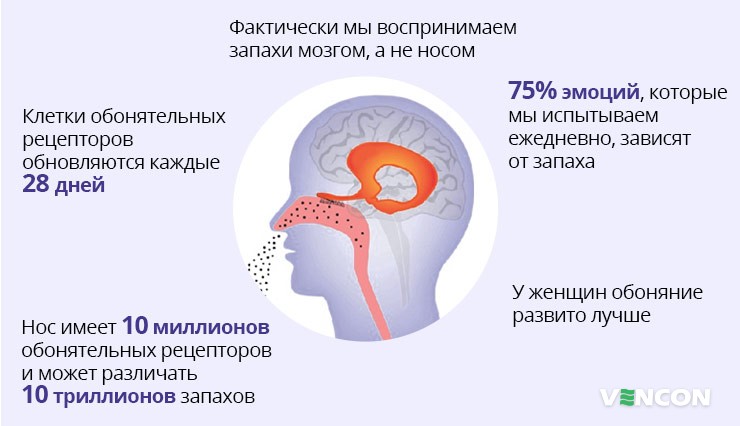 Правильное использование канализационных систем