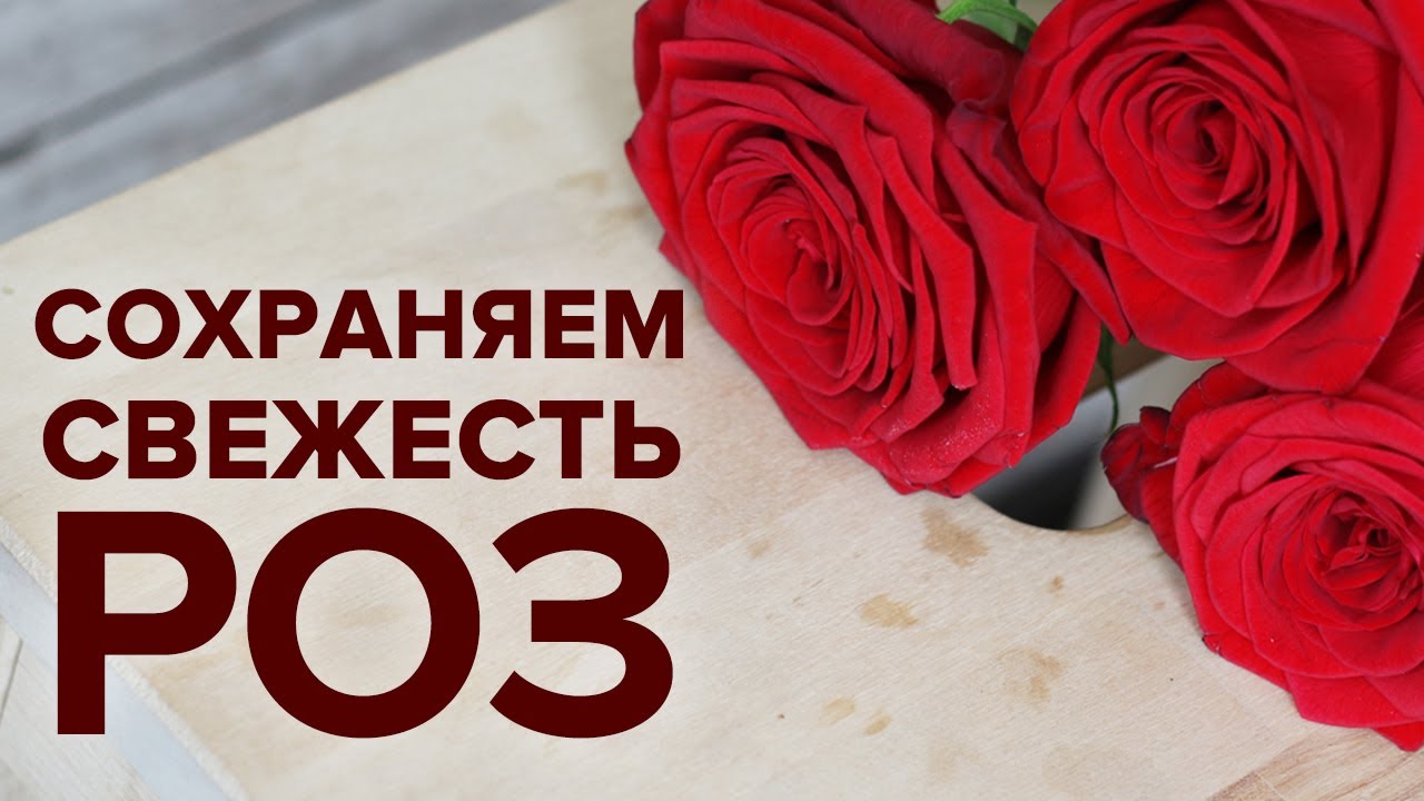 Выбор вазы
