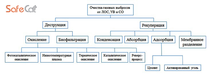 3. Используйте растения для очистки воздуха